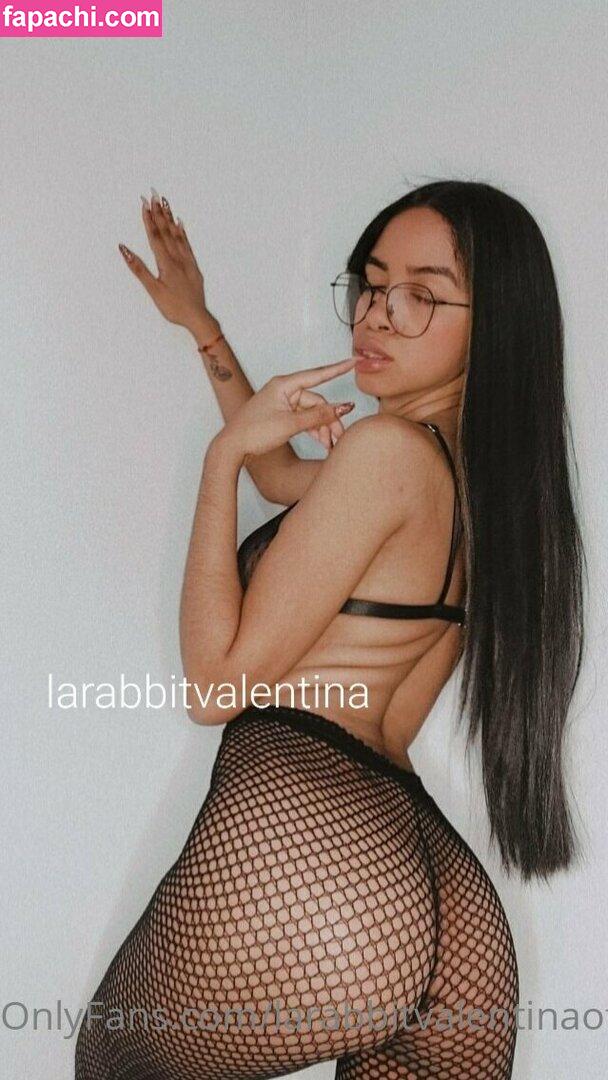 larabbitvalentinaof / _livin_life______ leaked nude photo #0057 from OnlyFans/Patreon