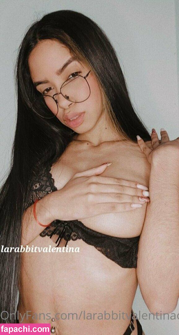 larabbitvalentinaof / _livin_life______ leaked nude photo #0062 from OnlyFans/Patreon