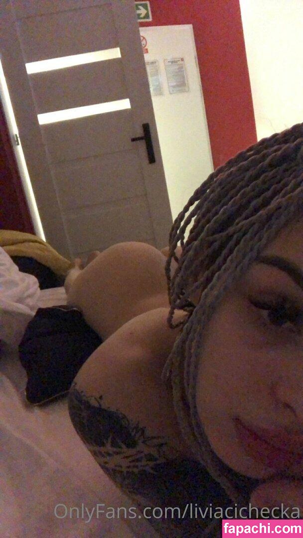 leevyyahs / leevyyah / liviacichecka leaked nude photo #0041 from OnlyFans/Patreon