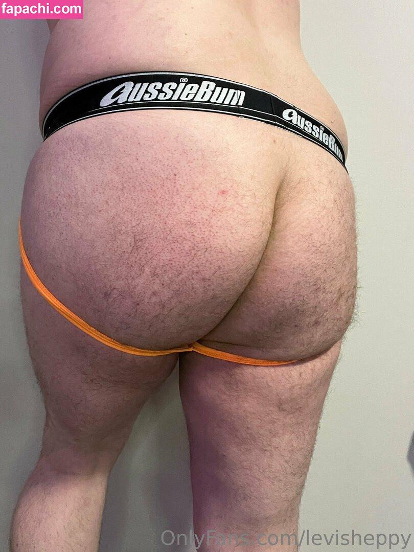 levisheppy / thesillygsd leaked nude photo #0032 from OnlyFans/Patreon