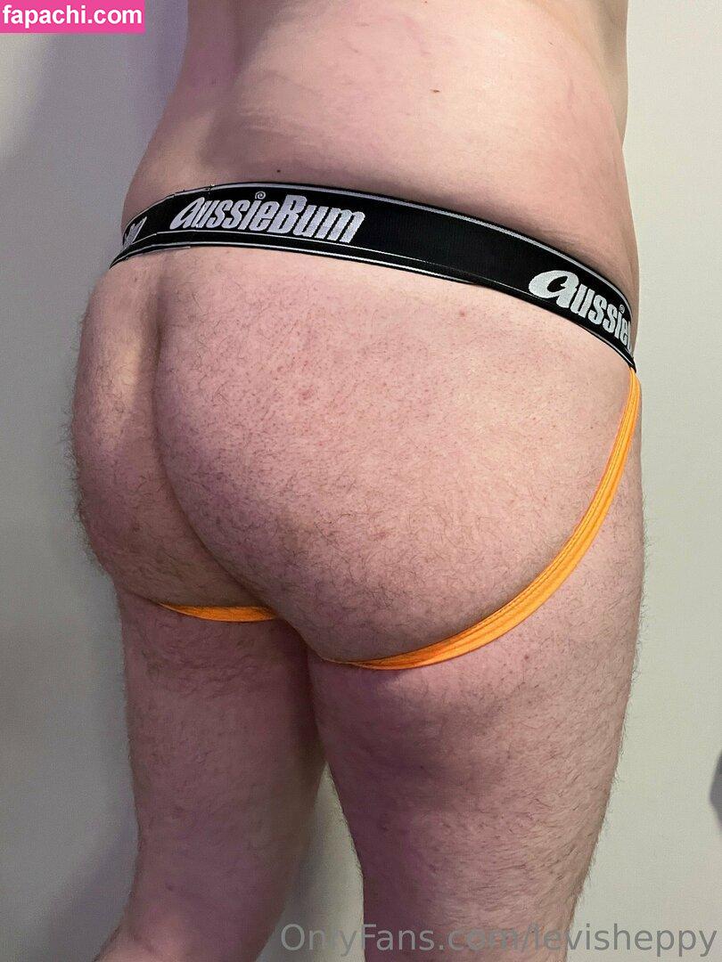 levisheppy / thesillygsd leaked nude photo #0033 from OnlyFans/Patreon