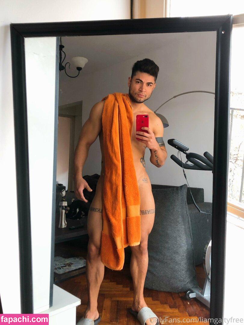 liamgaltyfree / lightskinlovin leaked nude photo #0025 from OnlyFans/Patreon