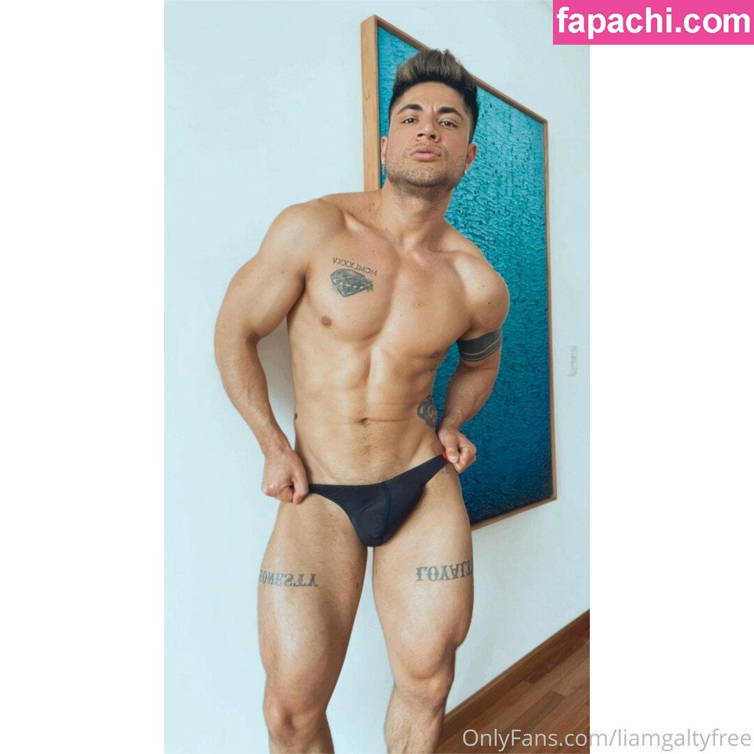 liamgaltyfree / lightskinlovin leaked nude photo #0034 from OnlyFans/Patreon