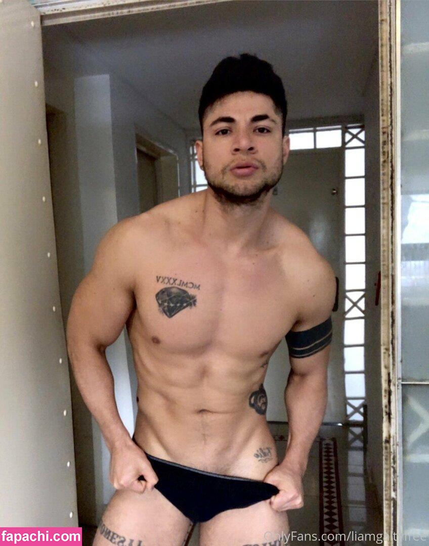 liamgaltyfree / lightskinlovin leaked nude photo #0085 from OnlyFans/Patreon