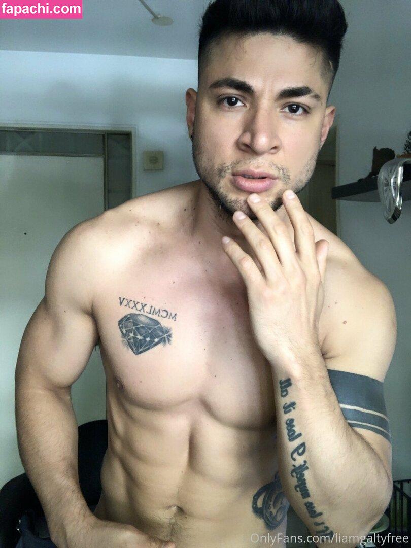 liamgaltyfree / lightskinlovin leaked nude photo #0086 from OnlyFans/Patreon