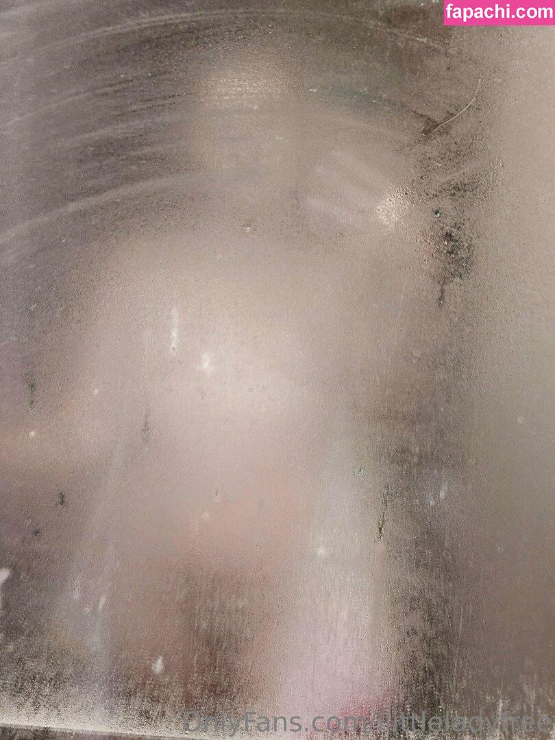 liittleladyfree / llittlelady leaked nude photo #0234 from OnlyFans/Patreon