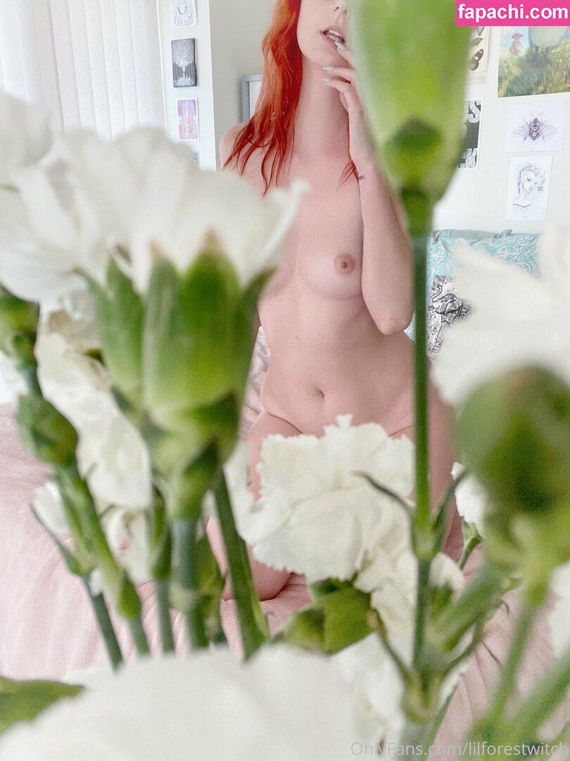 lilforestwitch / bitchxcrft / itslyranova leaked nude photo #0078 from OnlyFans/Patreon