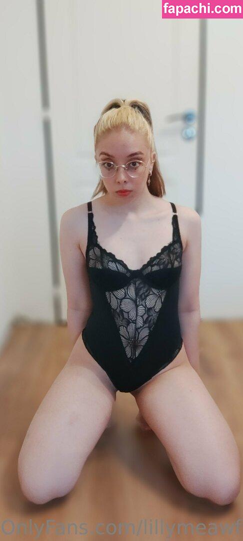 lillymeawfree / lilyyfree leaked nude photo #0048 from OnlyFans/Patreon