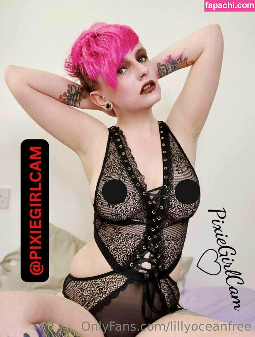 lillyoceanfree / p1nk_lolita leaked nude photo #0120 from OnlyFans/Patreon
