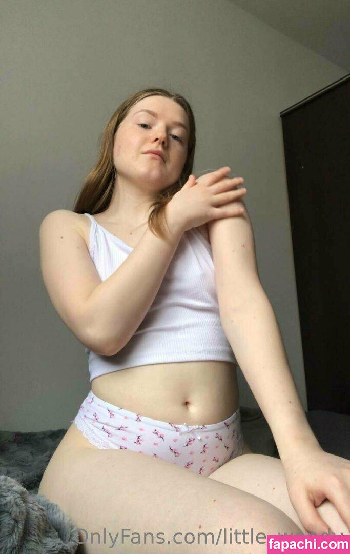 little_wendy / littlee_wendy_ leaked nude photo #0026 from OnlyFans/Patreon