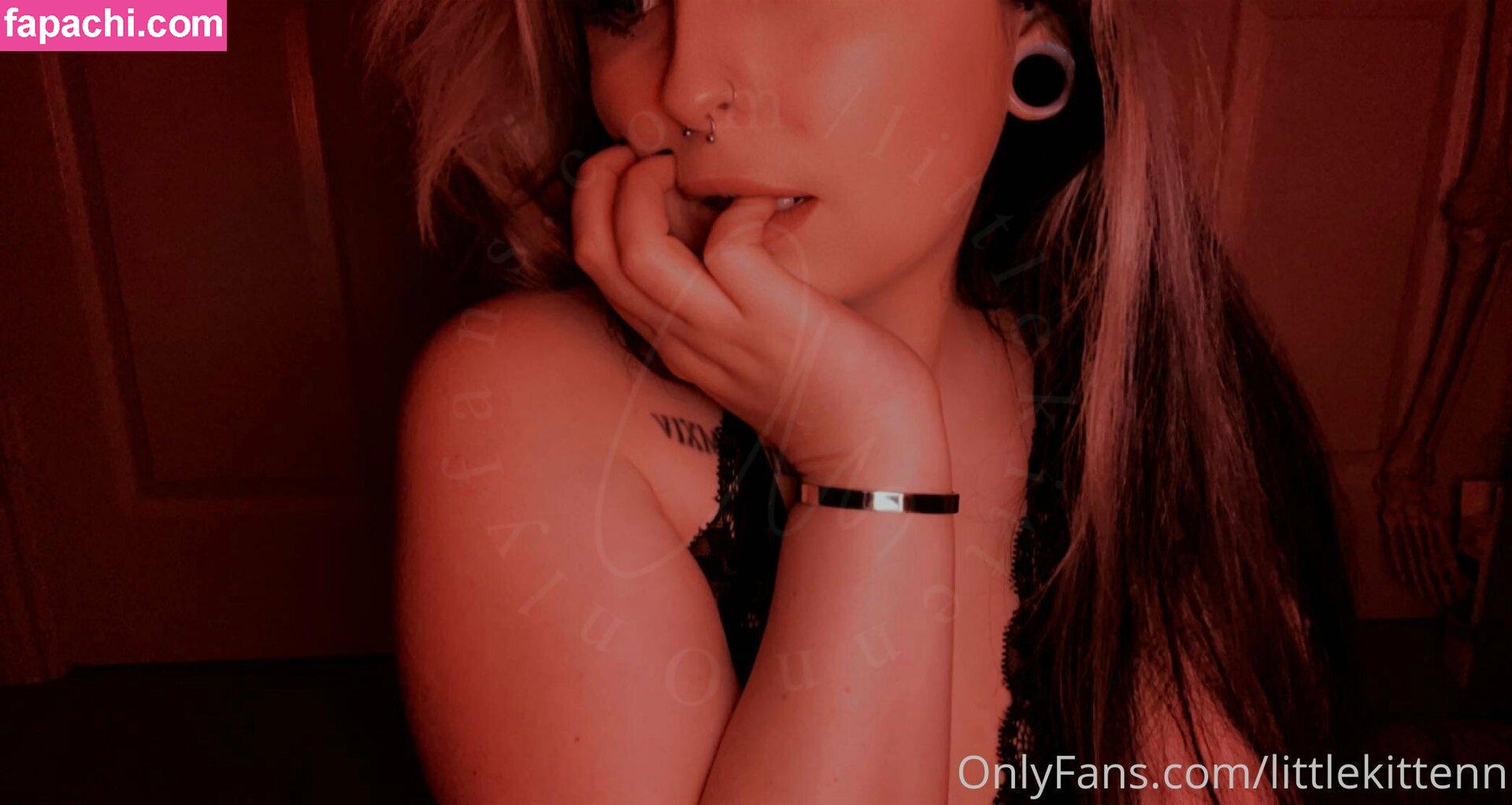 littlekittenn leaked nude photo #0004 from OnlyFans/Patreon