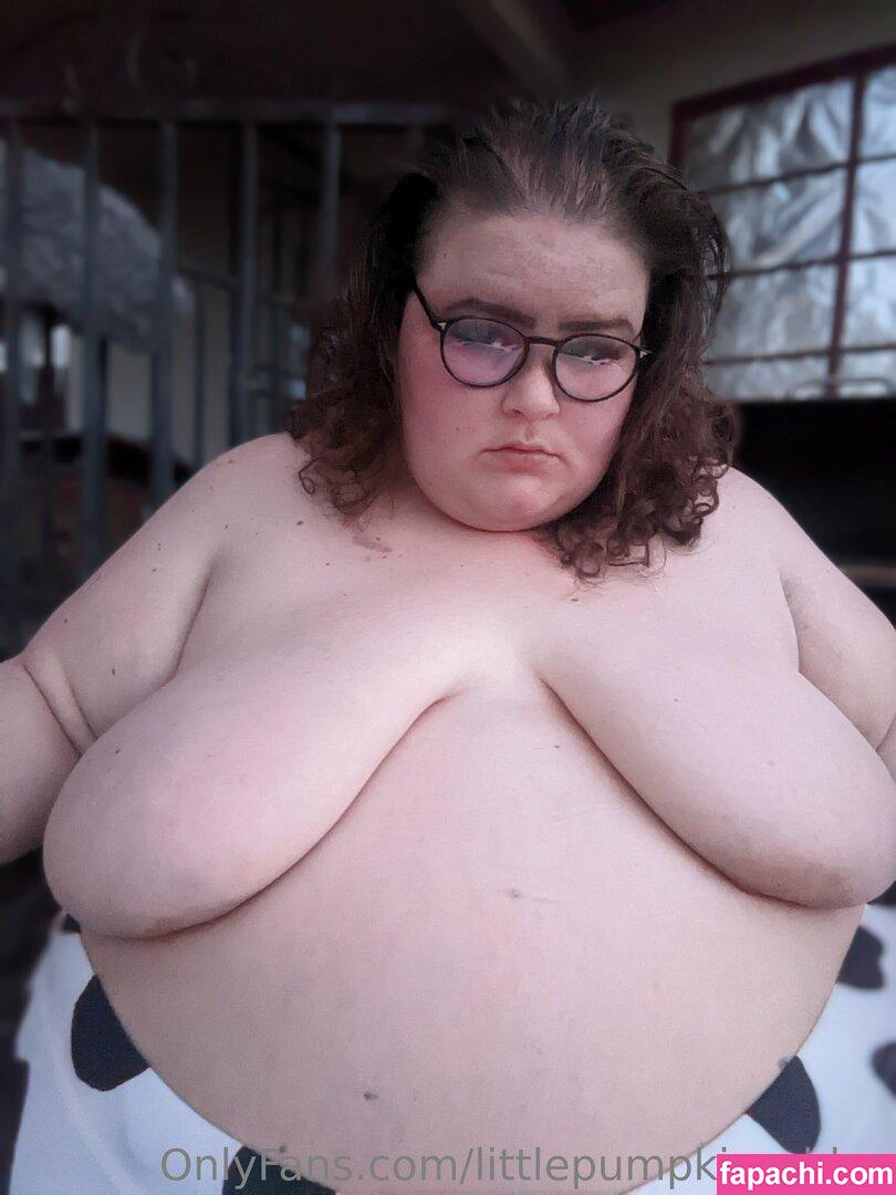 littlepumpkinssbbw leaked nude photo #0083 from OnlyFans/Patreon