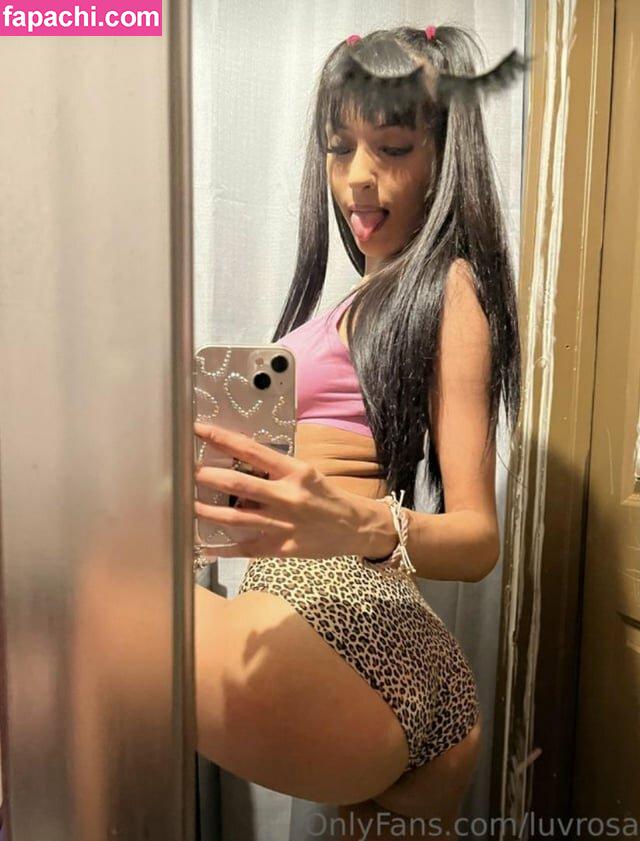 luvrosa leaked nude photo #0029 from OnlyFans/Patreon