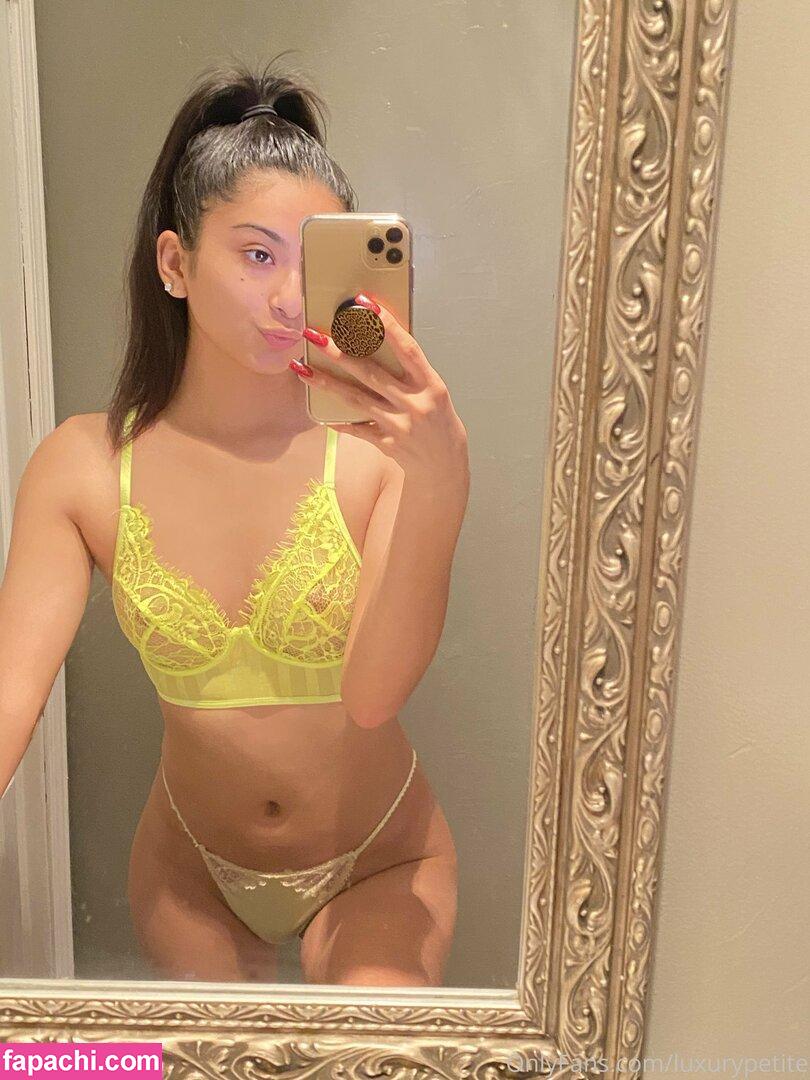 luxurypetite leaked nude photo #0067 from OnlyFans/Patreon