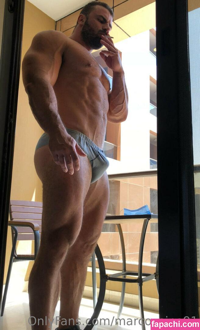 marco_pino91 leaked nude photo #0025 from OnlyFans/Patreon