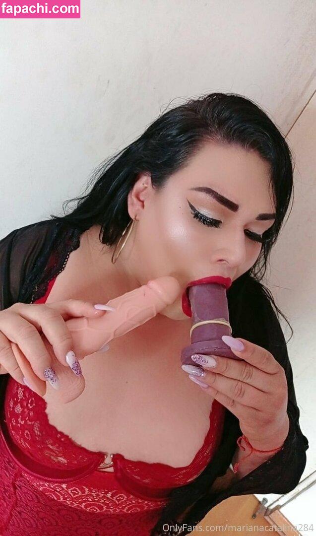 marianacatalina284 / trans_hermosas leaked nude photo #0011 from OnlyFans/Patreon