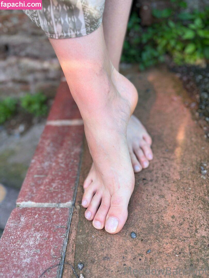 meadowbarefoot leaked nude photo #0018 from OnlyFans/Patreon