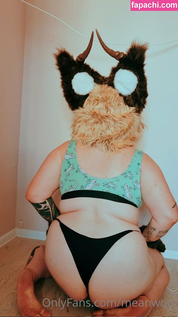 meanwoof / meanwoodmusic leaked nude photo #0041 from OnlyFans/Patreon