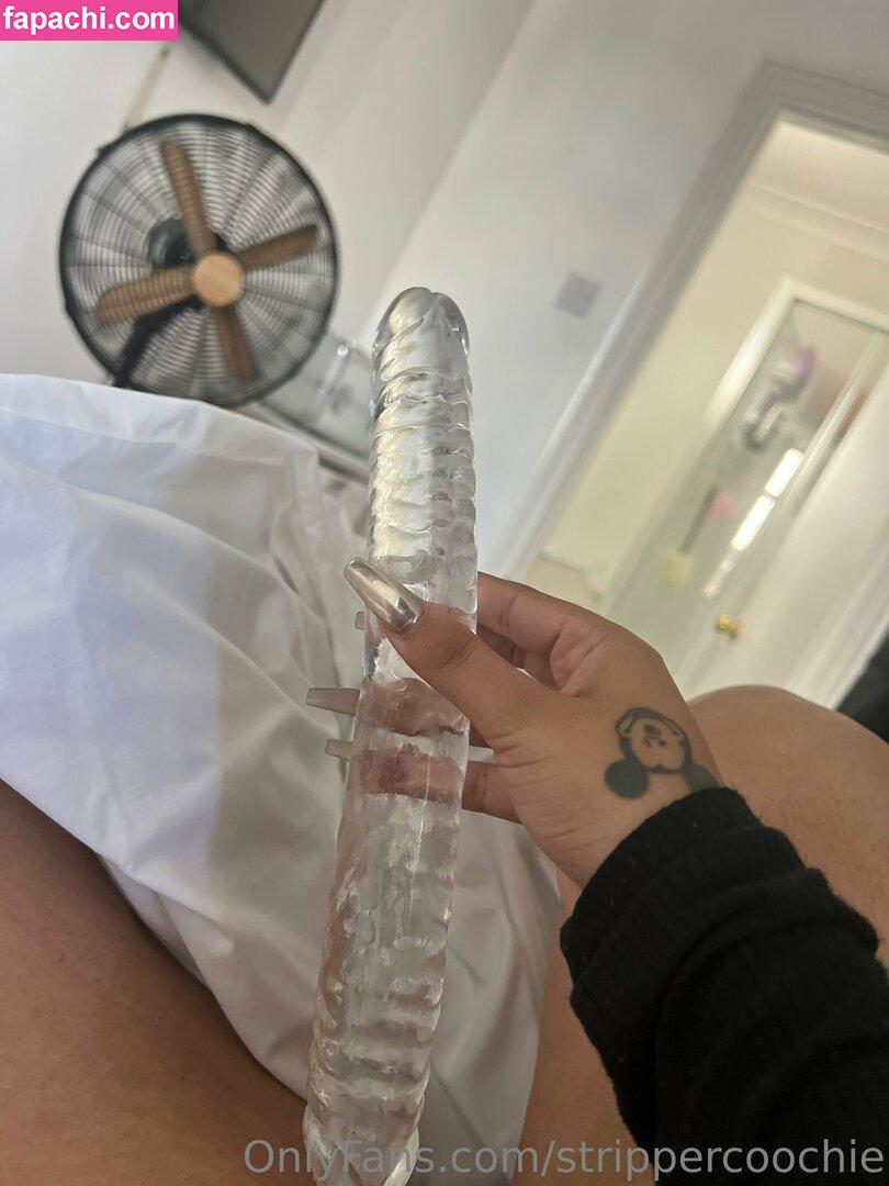 Mel Farahmand / strippercoochie / thestripperml leaked nude photo #0045 from OnlyFans/Patreon
