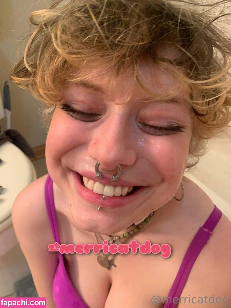 merricatdog / missamerrrickaa leaked nude photo #0036 from OnlyFans/Patreon