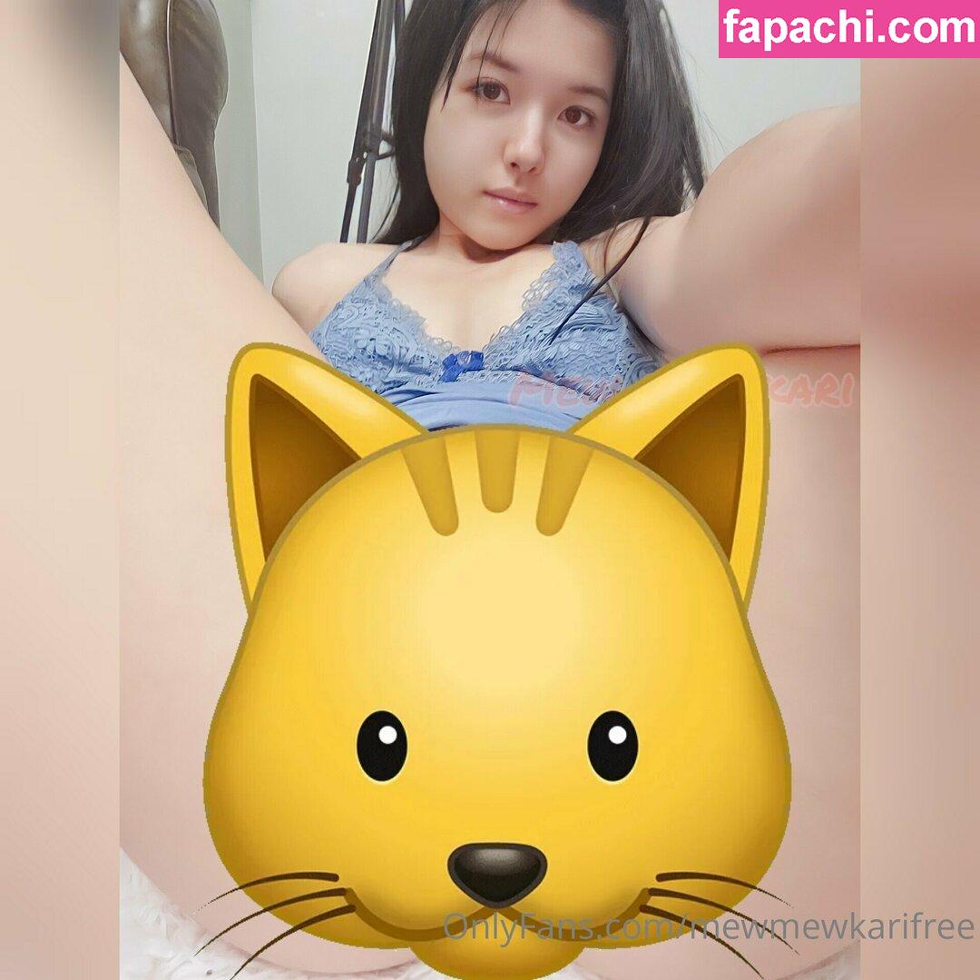 mewmewkarifree / __ffrenchfries__ leaked nude photo #0004 from OnlyFans/Patreon