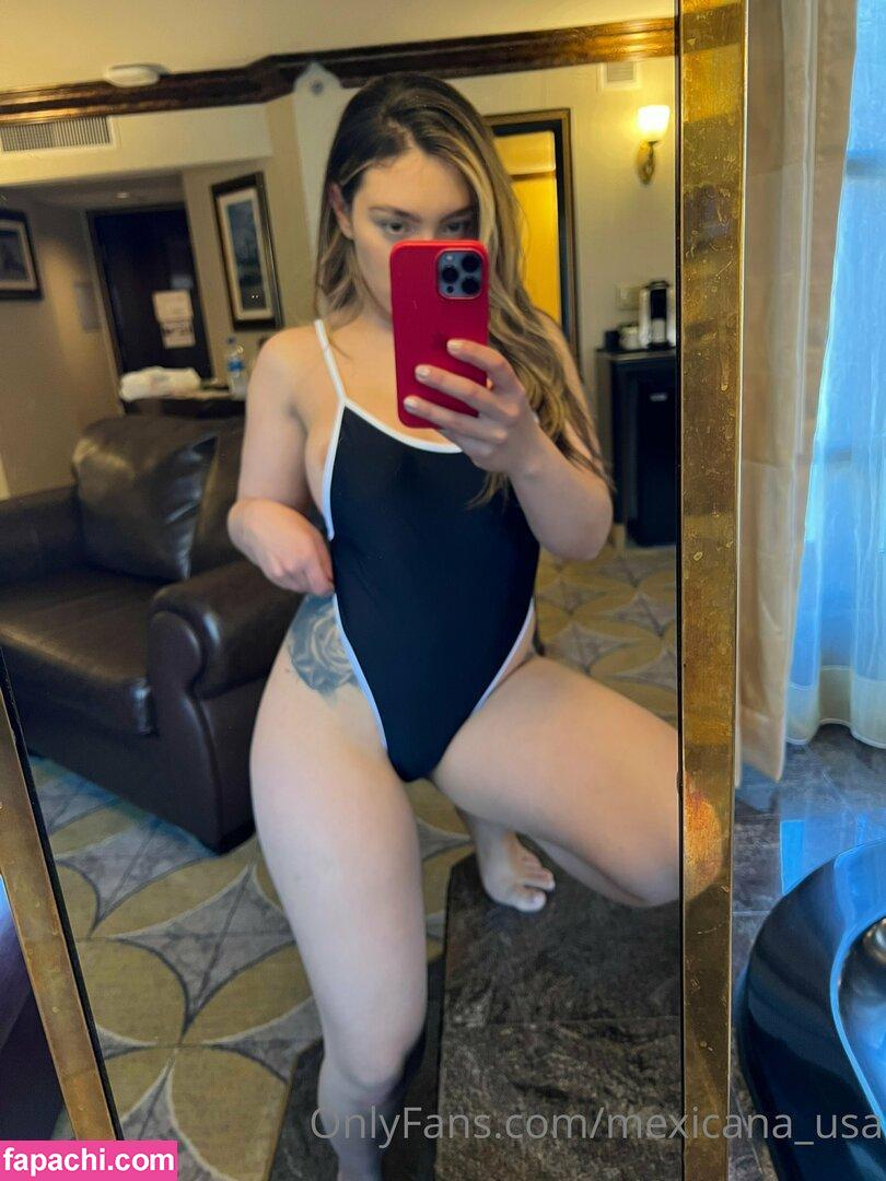 mexicana_usa leaked nude photo #0003 from OnlyFans/Patreon