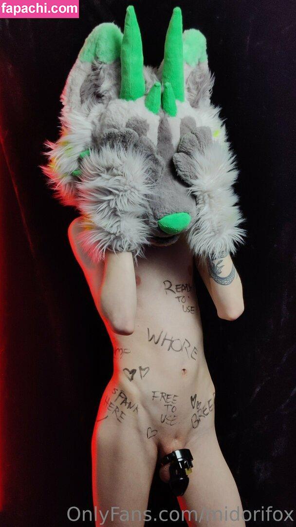 midorifox / midorifox_ leaked nude photo #0005 from OnlyFans/Patreon