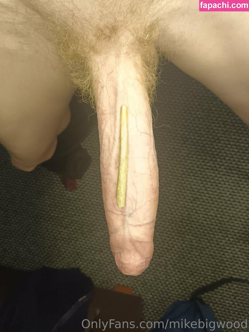 mikebigwood / themikebigwood leaked nude photo #0027 from OnlyFans/Patreon
