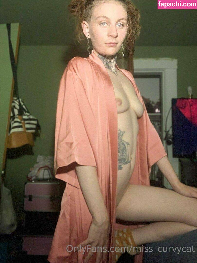 miss_curvycat / misscurvykat leaked nude photo #0016 from OnlyFans/Patreon
