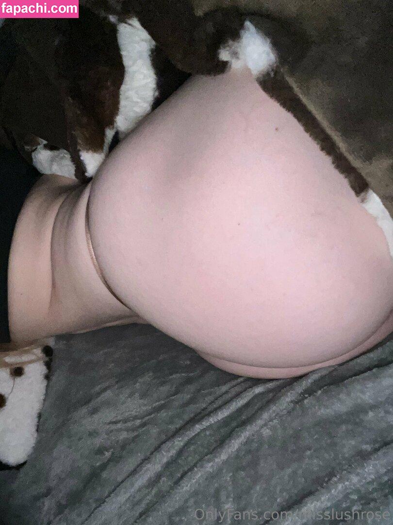 Misslushrose / brittney-bush / lilmissross / misslushrose222 leaked nude photo #0616 from OnlyFans/Patreon