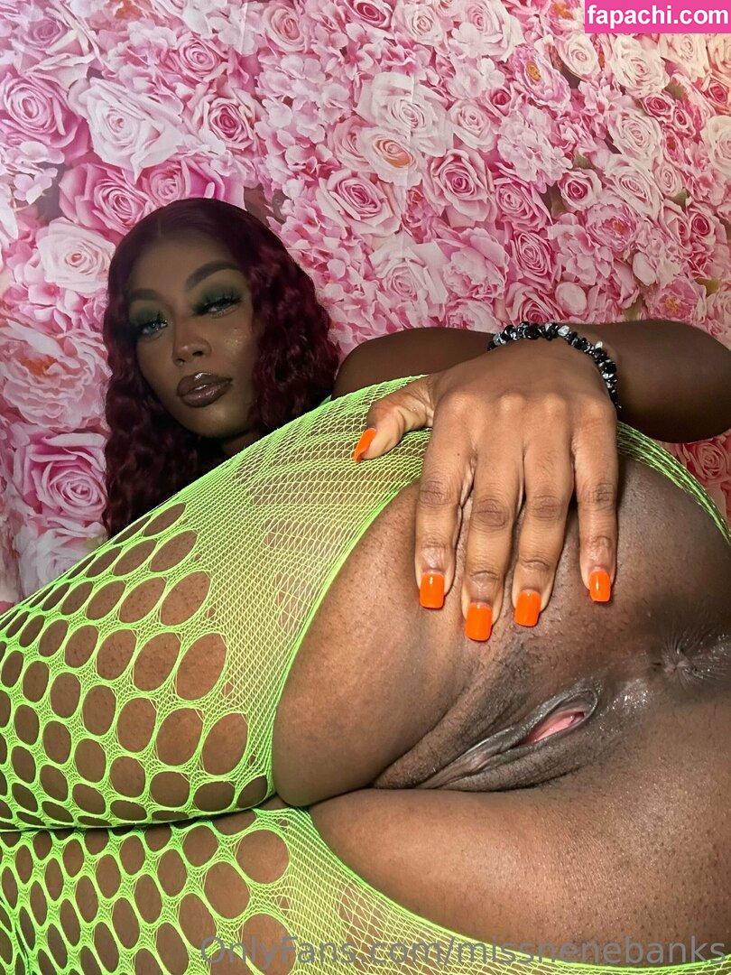 missnenebanks / dxrea_ leaked nude photo #0020 from OnlyFans/Patreon
