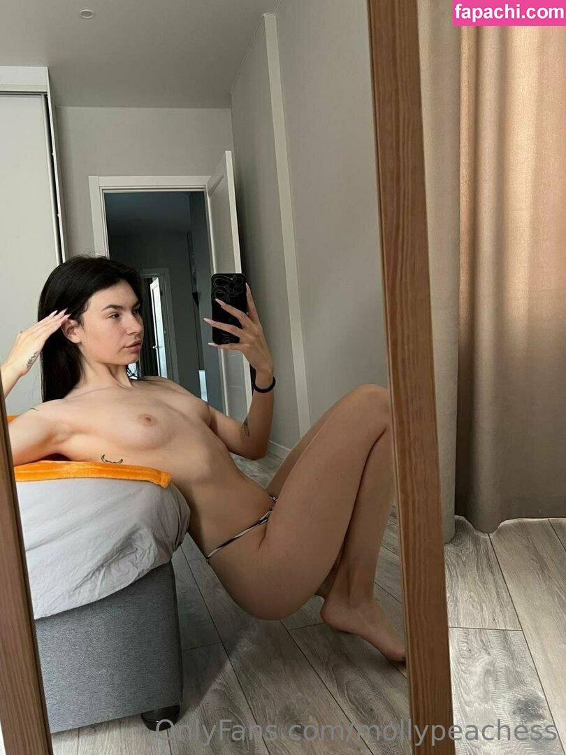 mollypeachess / mollypeaches leaked nude photo #0320 from OnlyFans/Patreon