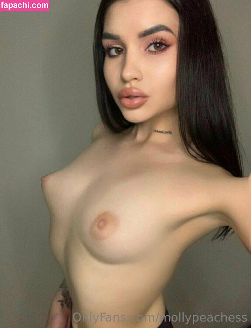 mollypeachess / mollypeaches leaked nude photo #0427 from OnlyFans/Patreon