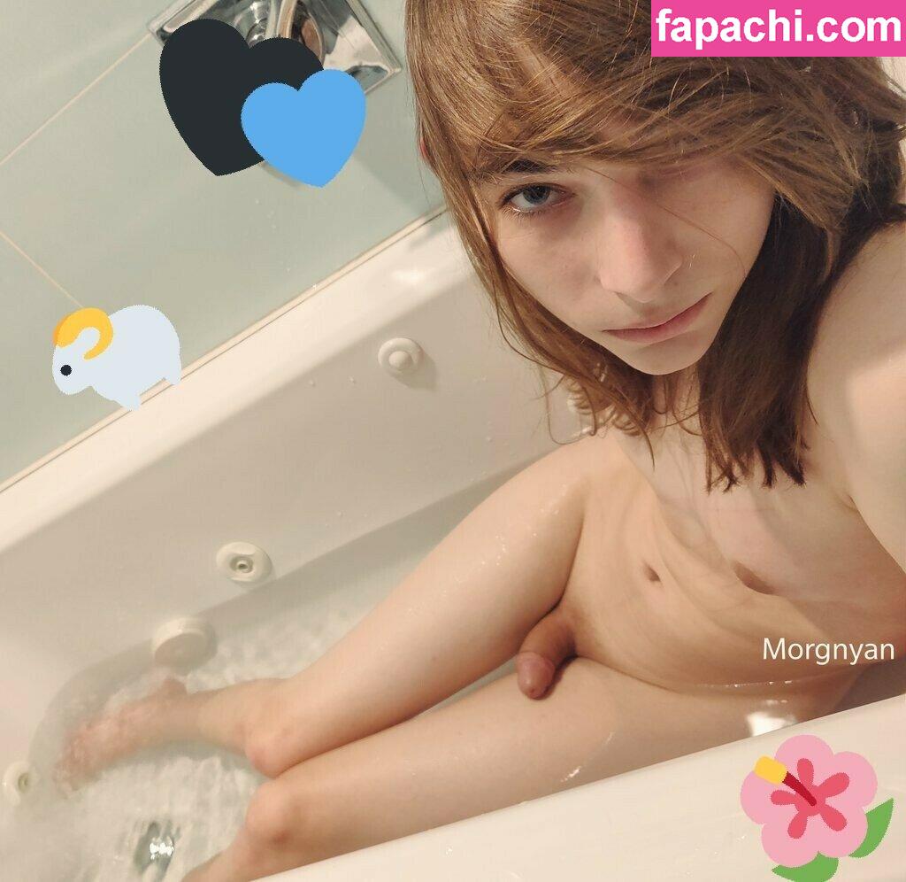 Morgnyan / TransDaughter leaked nude photo #0008 from OnlyFans/Patreon