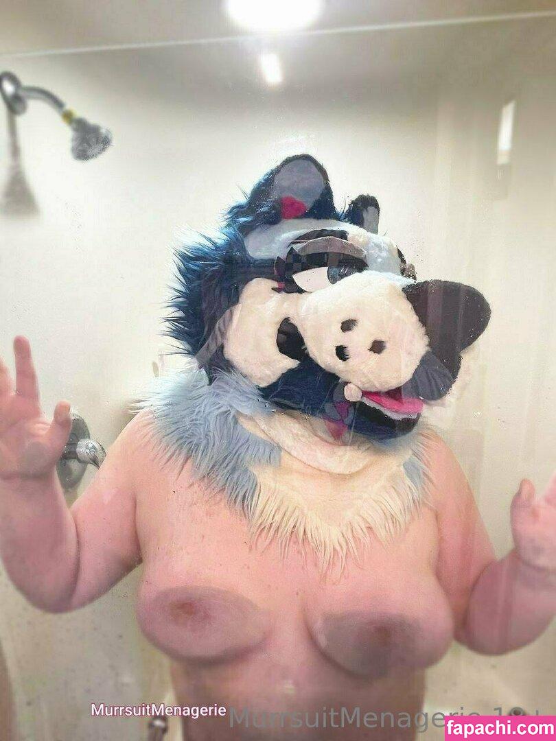 murrsuitmenagerie / _chausterrrr leaked nude photo #0003 from OnlyFans/Patreon