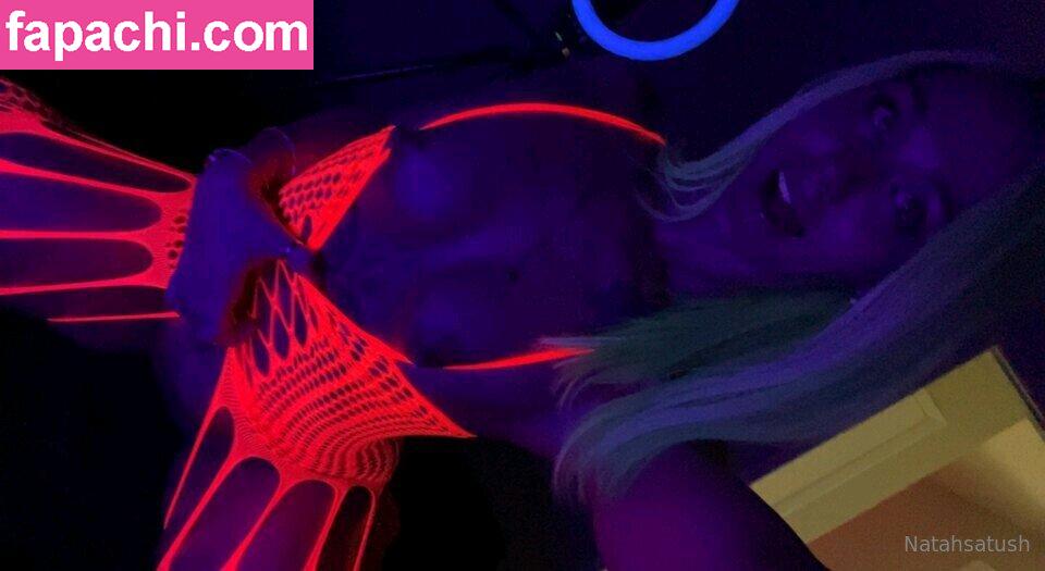 Natasha Tush / natashatush / natashatushh / tush.melove leaked nude photo #0088 from OnlyFans/Patreon