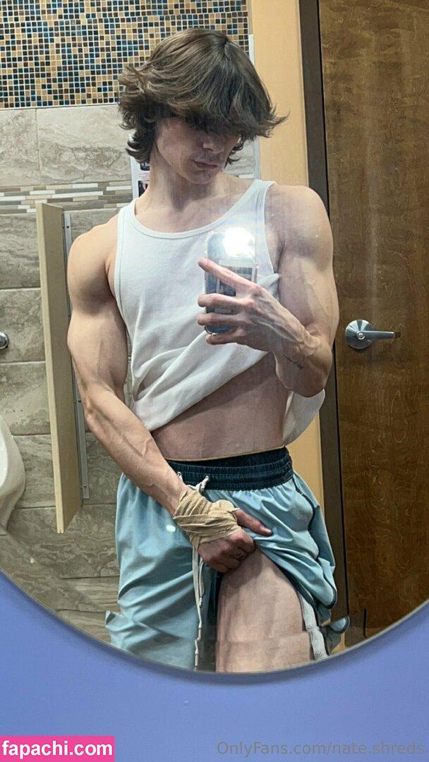 nate.shreds / nateshredder leaked nude photo #0115 from OnlyFans/Patreon