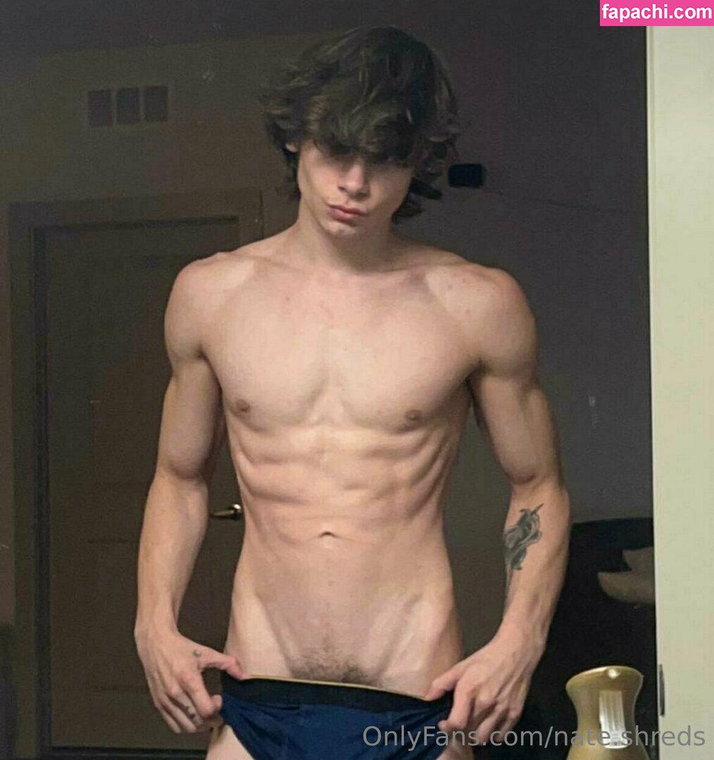 nate.shreds / nateshredder leaked nude photo #0129 from OnlyFans/Patreon