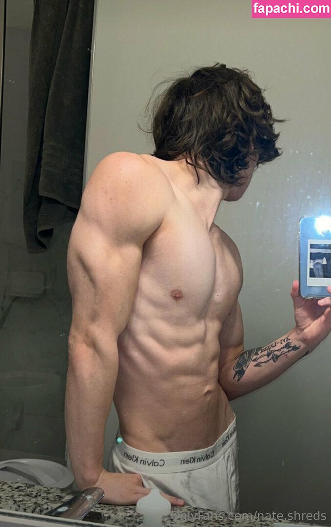 nate.shreds / nateshredder leaked nude photo #0136 from OnlyFans/Patreon