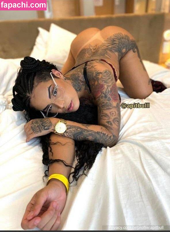Nathielly / Apitibulll / apitbulll / iamhely leaked nude photo #0017 from OnlyFans/Patreon