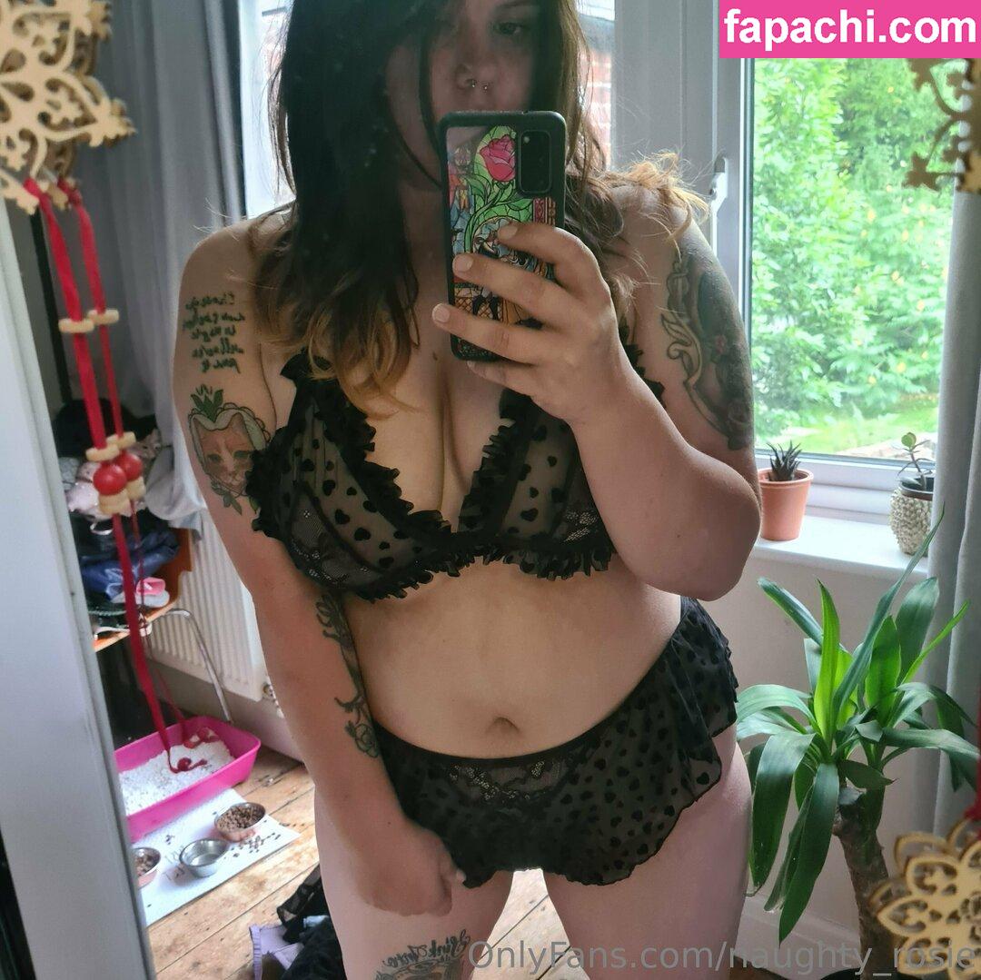 naughty_rosie leaked nude photo #0060 from OnlyFans/Patreon