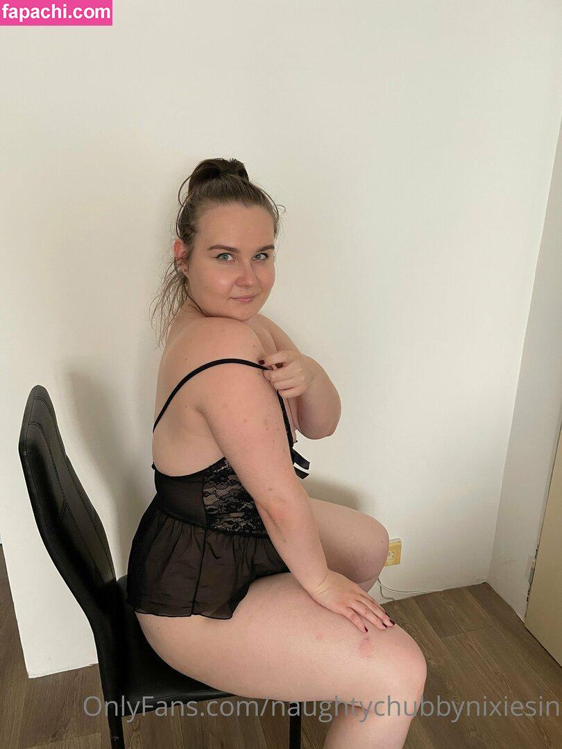 Naughtychubbynixiesin leaked nude photo #0250 from OnlyFans/Patreon