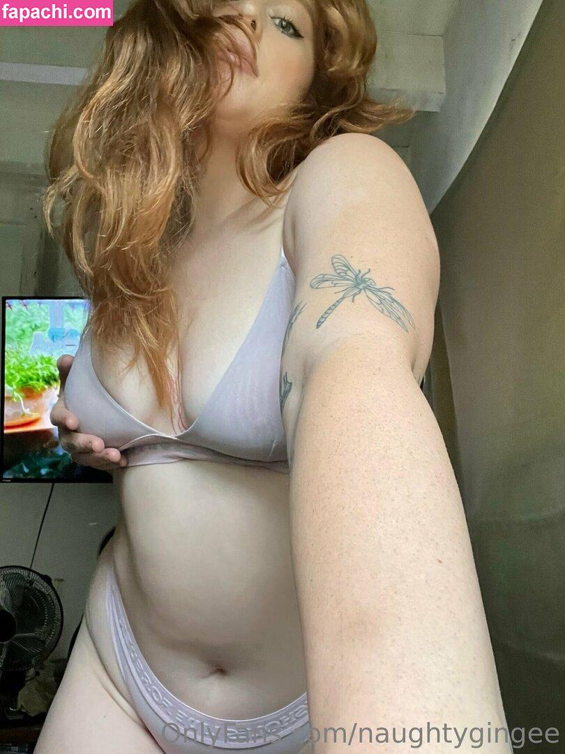 naughtygingee leaked nude photo #0034 from OnlyFans/Patreon