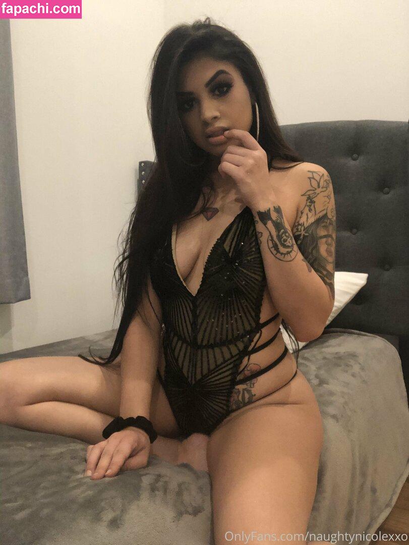 naughtynicolexxo leaked nude photo #0009 from OnlyFans/Patreon