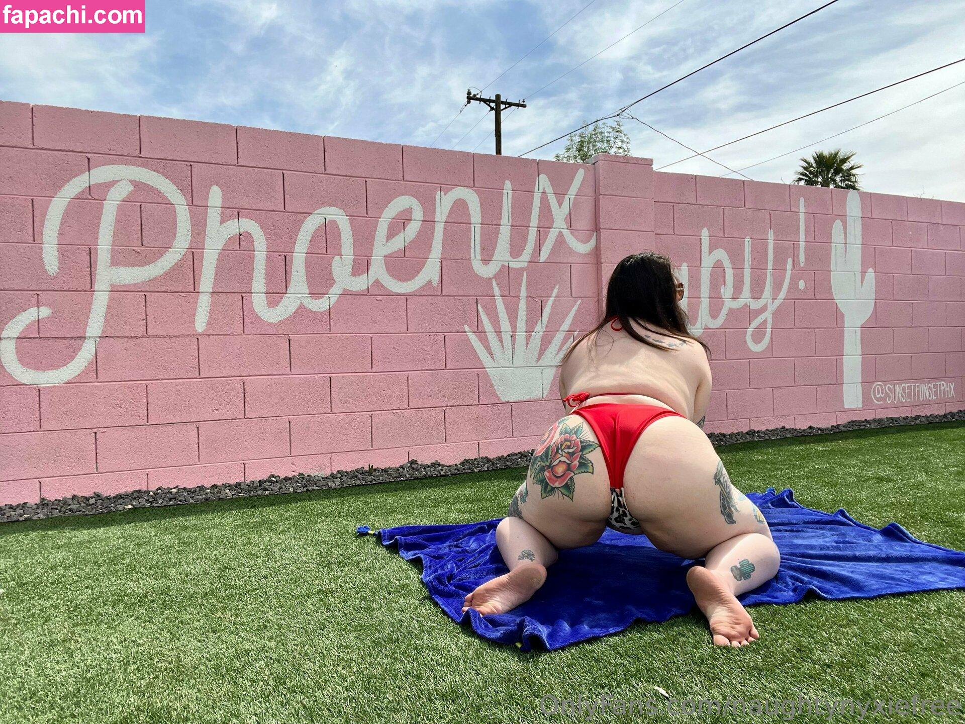 naughtynyxiefree leaked nude photo #0050 from OnlyFans/Patreon