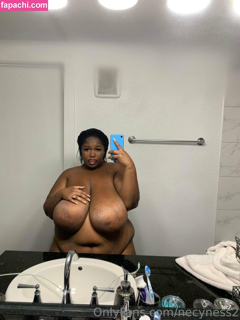 necyness2 / necynesss leaked nude photo #0011 from OnlyFans/Patreon