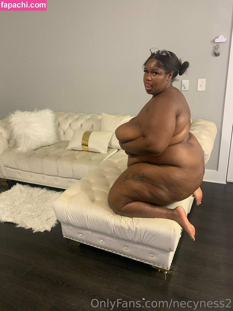 necyness2 / necynesss leaked nude photo #0023 from OnlyFans/Patreon