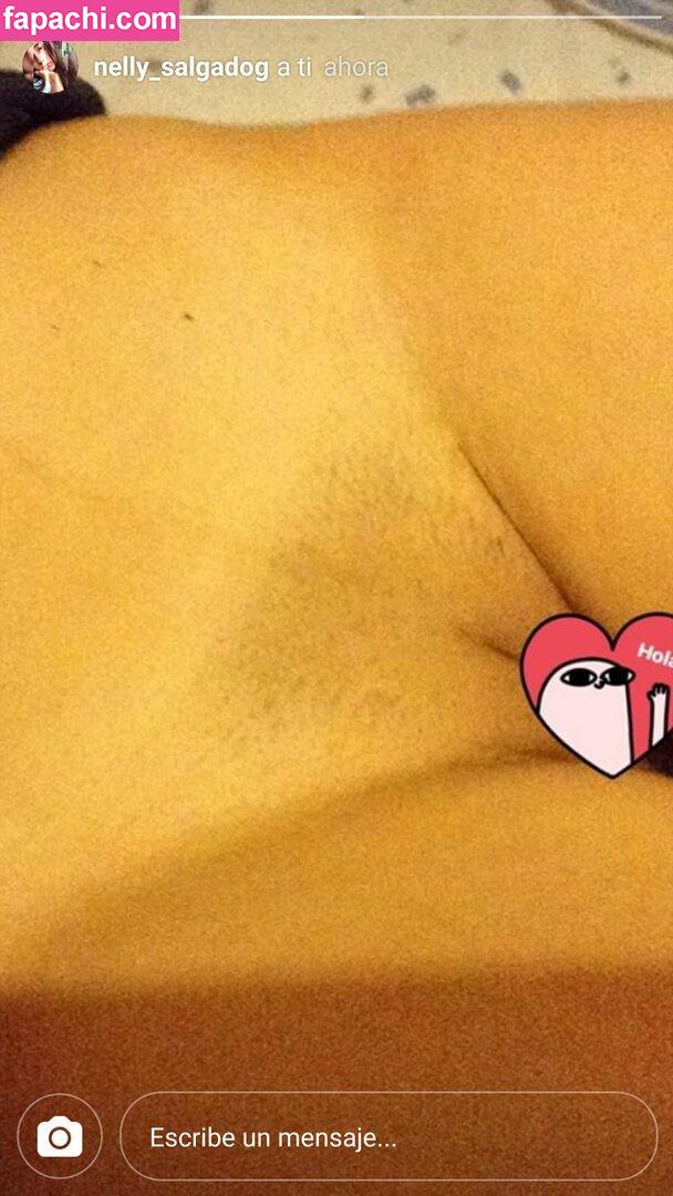 Nelly Salgado / nellita_salgado_ leaked nude photo #0014 from OnlyFans/Patreon