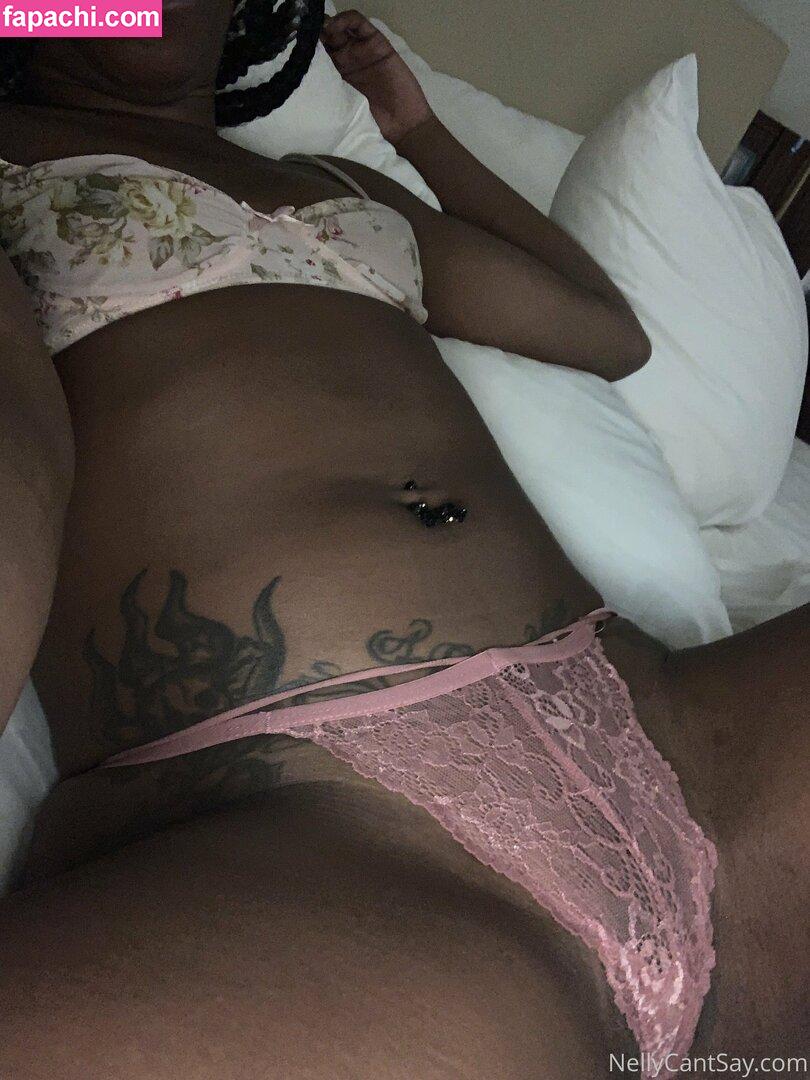 nellycantsay leaked nude photo #0006 from OnlyFans/Patreon