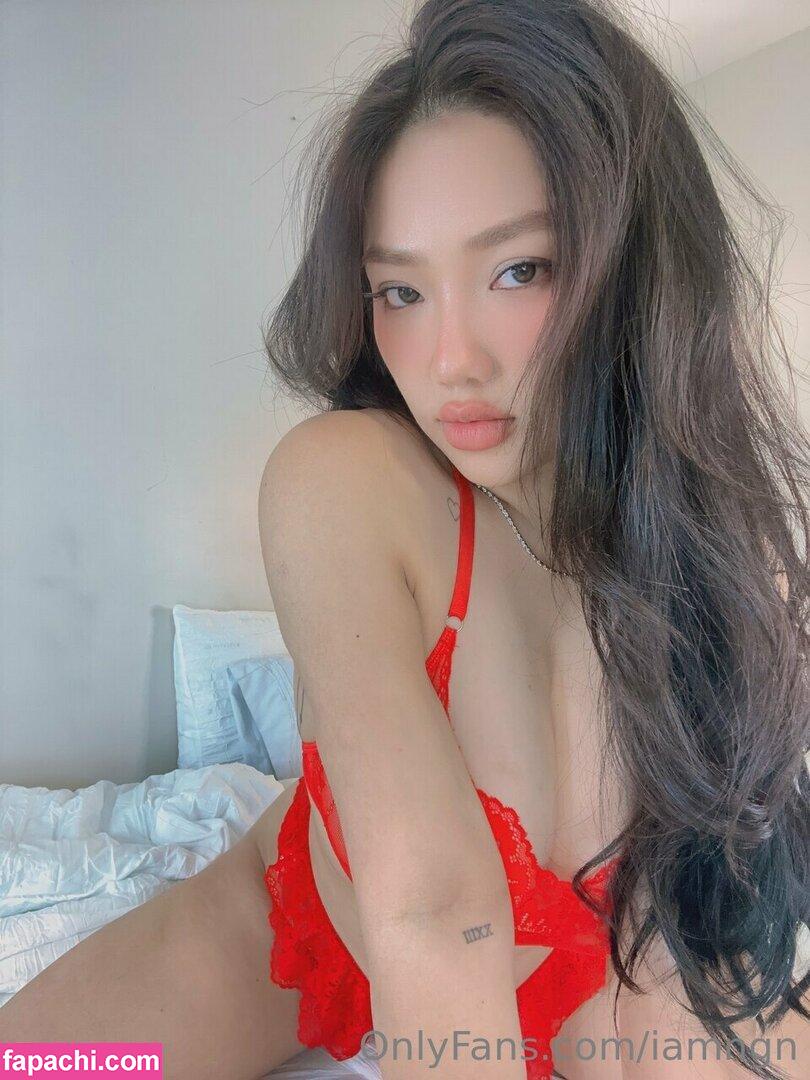 Ngannguyen / iamngan / iamngn / nganguyeen leaked nude photo #0040 from OnlyFans/Patreon